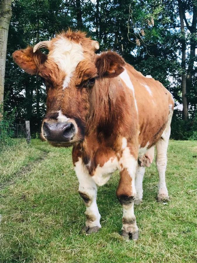 De Martha Hoeve Ursem Exterior foto